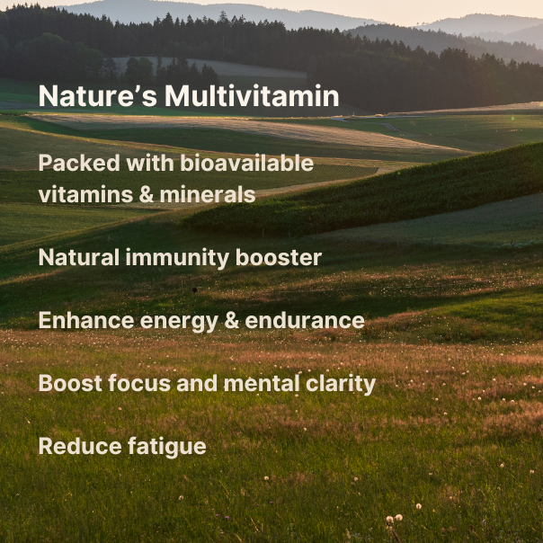 Organic Grass Fed Beef Liver Capsules
