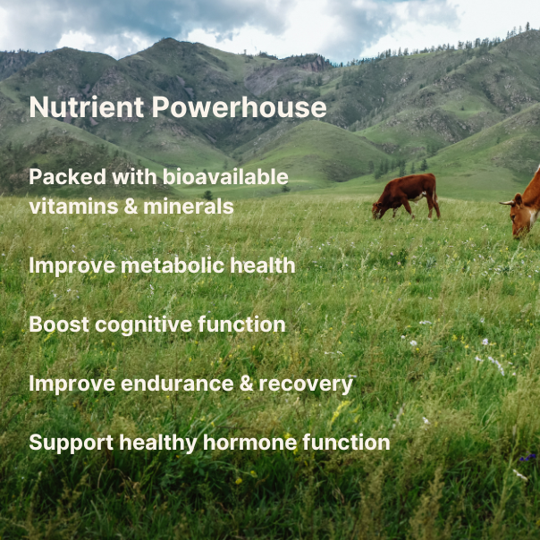 Organic Grass Fed Beef Organ Capsules